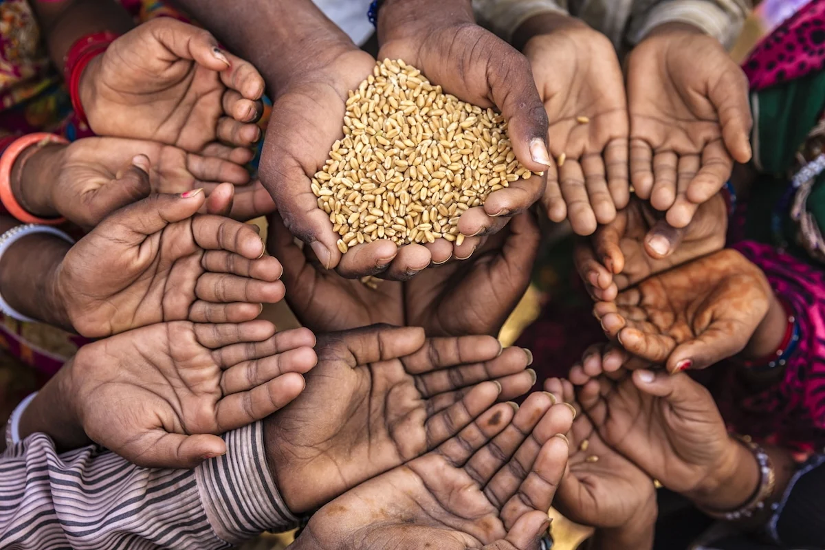 A Fragile Recovery: The Uneven Battle Against Global Hunger