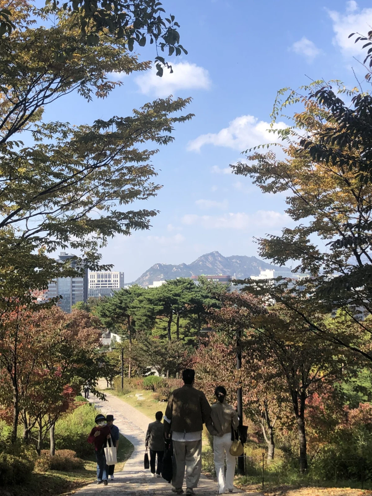 Navigating the Expat Transition: A Strategic Roadmap for Financial Stability