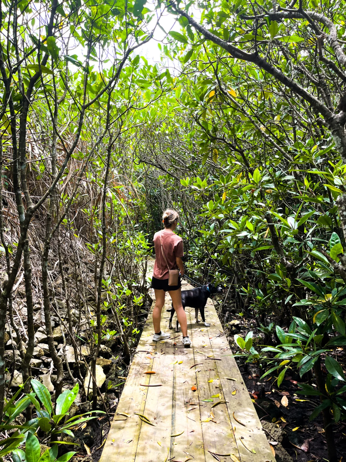 Navigating the Path to Financial Independence: A Case Study of a Military Couple in Japan