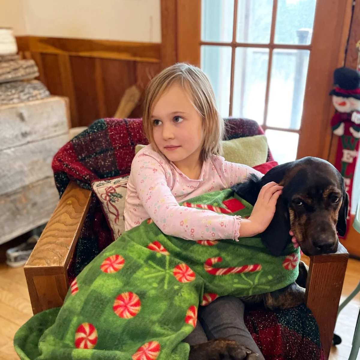 The Heartbreak of Letting Go: An In-Depth Look at the Reality of Pet Ownership